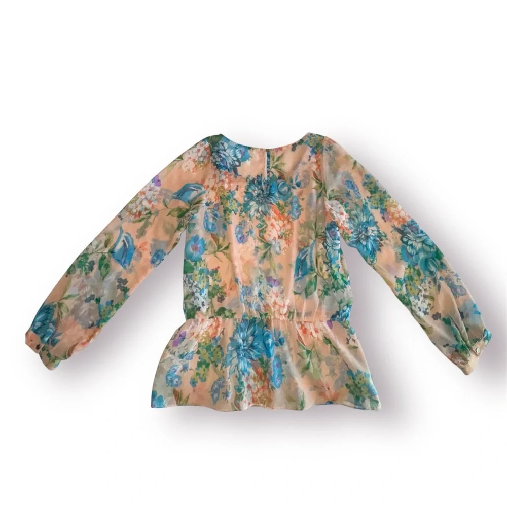 🛍️SALE🛍️ Sis Sis Sheer Long Sleeve Floral Peplum Waist Blouse - Picture 3 of 7